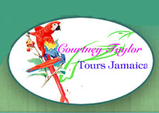 Courtney Taylor Private Tours logo