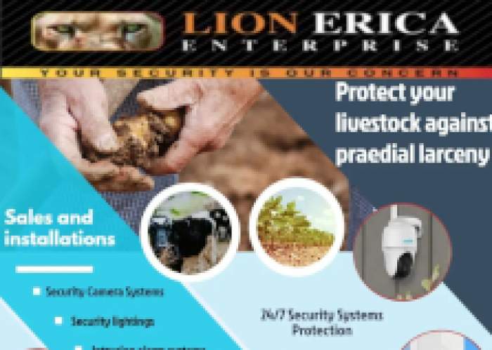 Lion Erica Enterprise logo