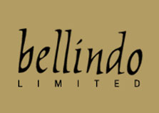 Bellindo Ltd logo