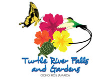 Turtle River Falls and Gardens logo