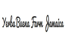 Yerba Buena Farm logo