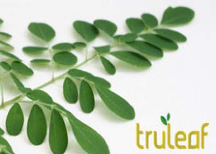 Truleaf Moringa logo