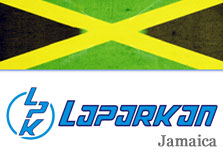 Laparkan (Jamaica) Ltd logo