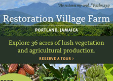 Restoration Village Farm logo