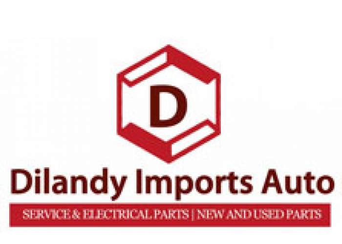 Dilandy Imports Auto Parts logo