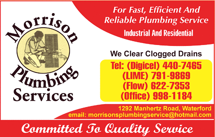 Morrison Plumbing Services  logo