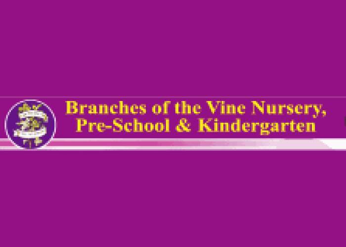 Branches Of The Vine Nursery & Preschool logo