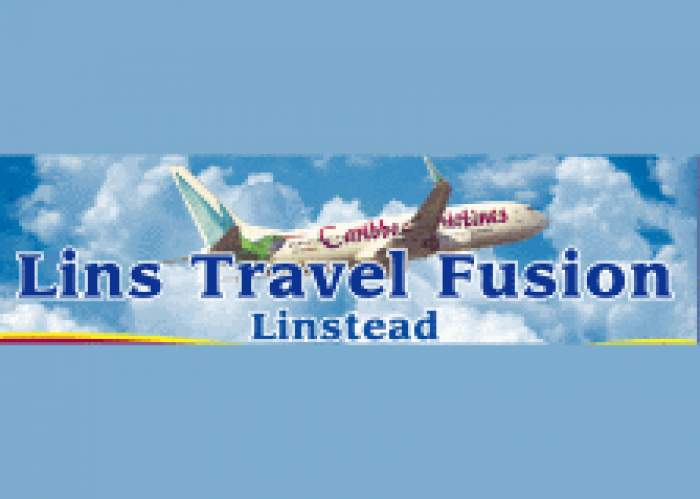 Lins Travel Fusion logo