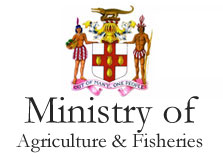 Ministry of Agriculture & Fisheries logo