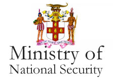 Ministry of National Security logo