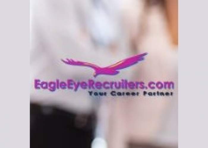 Eagleeye Recruiting & Career Services logo