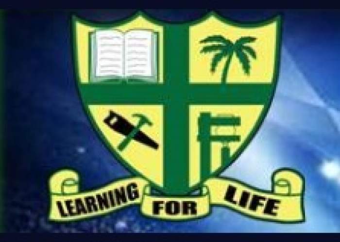 Alston High School  logo