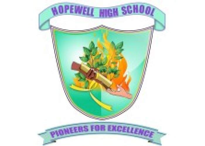 Hopewell High School logo