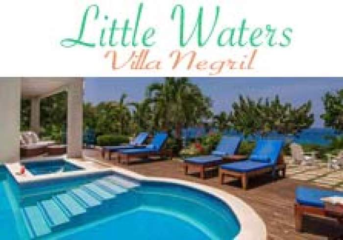 Little Waters Villa logo