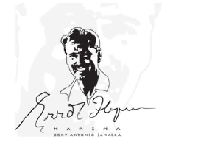 Errol Flynn Marina logo