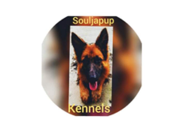 Souljapup Kennels logo