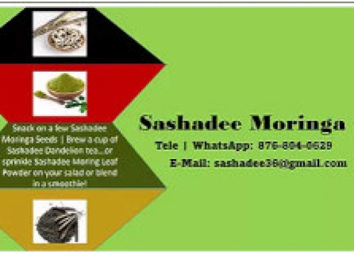 Sashadee Moringa logo