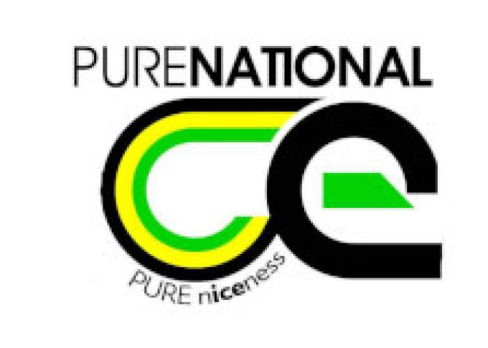 Pure National Ice logo