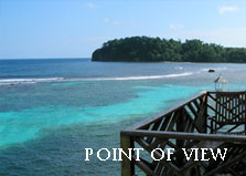 Point of View Villa logo